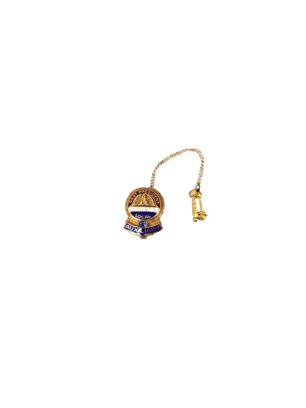 AMVETS Auxiliary Past President Lapel Scatter Pin Vintage 94858 Gold Filled